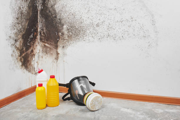 Best Crawl Space Mold Removal  in Oliver Springs, TN