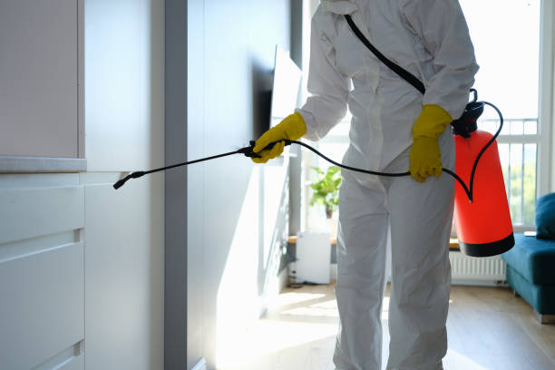 Best Emergency Mold Removal  in Oliver Springs, TN