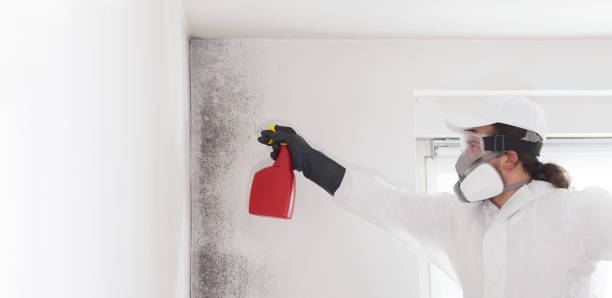 Crawl Space Mold Removal in Oliver Springs, TN