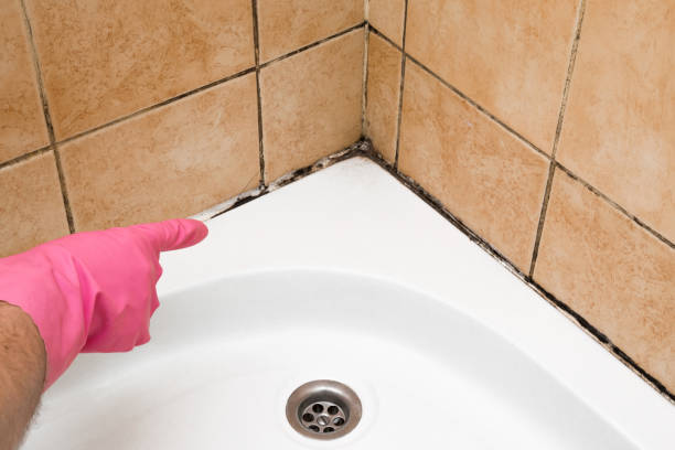 Best Mold Cleaning Services  in Oliver Springs, TN